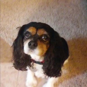 Meet your Posher, Becky